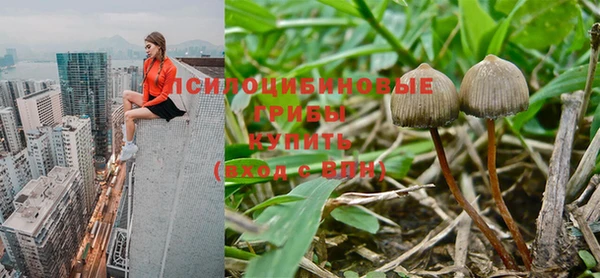 мяу мяу мука Алексеевка