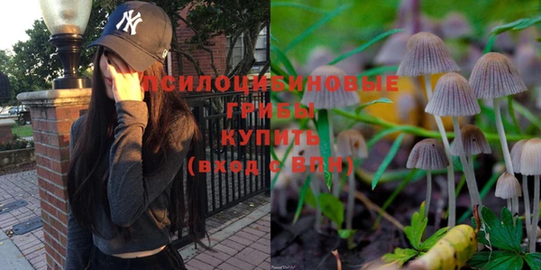 ПСИЛОЦИБИНОВЫЕ ГРИБЫ Алексин