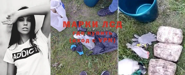 ПСИЛОЦИБИНОВЫЕ ГРИБЫ Алексин