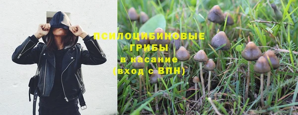 прущий лед Алзамай