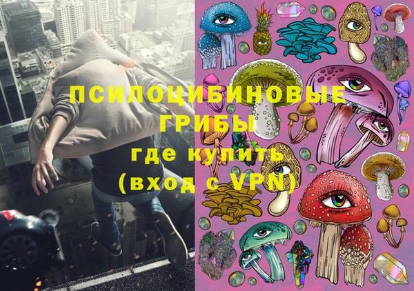ПСИЛОЦИБИНОВЫЕ ГРИБЫ Алексин