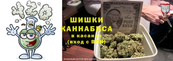 прущий лед Алзамай